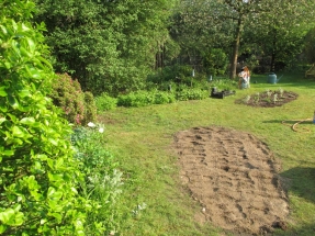 andere planten tussen en onder de bomen, en in het gazon...