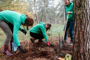 Goesting in meer